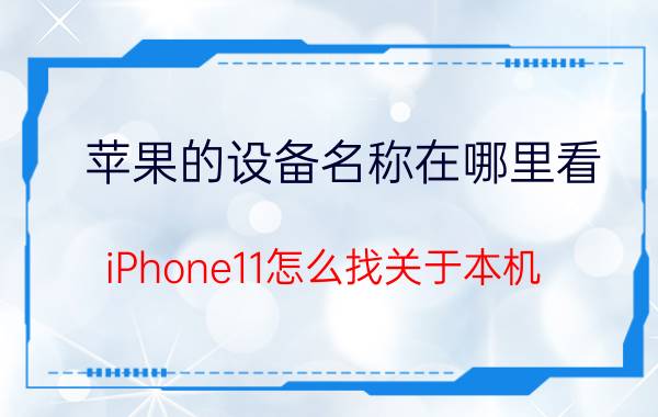 苹果的设备名称在哪里看 iPhone11怎么找关于本机？